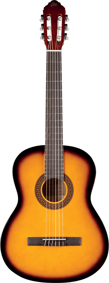 Cs-10 4/4 Sunburst + Gigbag