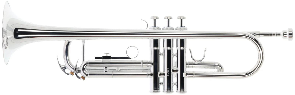 WTP400S - Bes Verzilverde