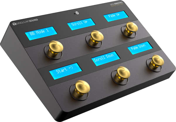 MIDI MAESTRO CONTROL PEDALS