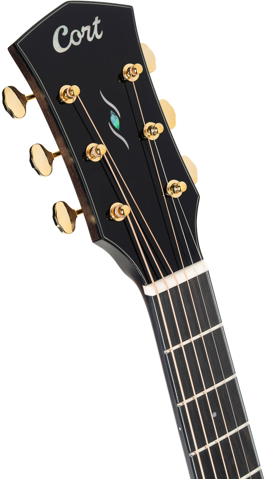 Gold MC6 Ovangkol Gloss