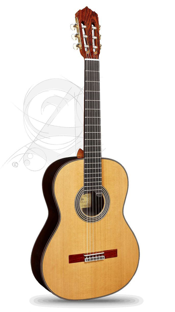 Professional Luthier Linea Profesional + 9650 Bam Iconic Case