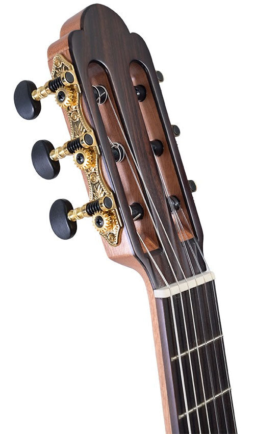 Torres 1/2 Rn Mahogany