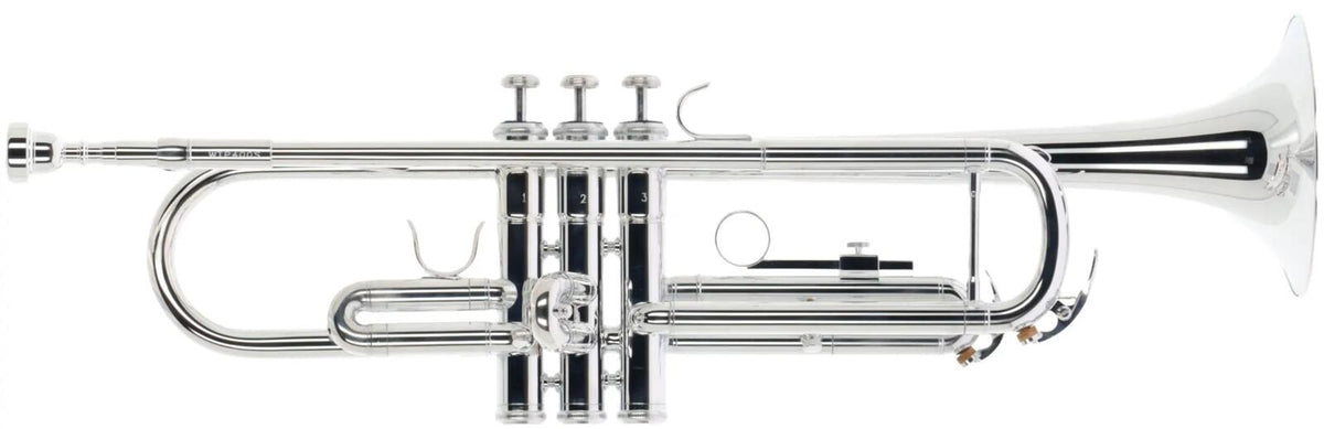 WTP400S - Bes Verzilverde