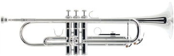 WTP400S - Bes Verzilverde