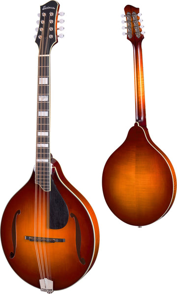 MDO605 Goudkleurige burst
