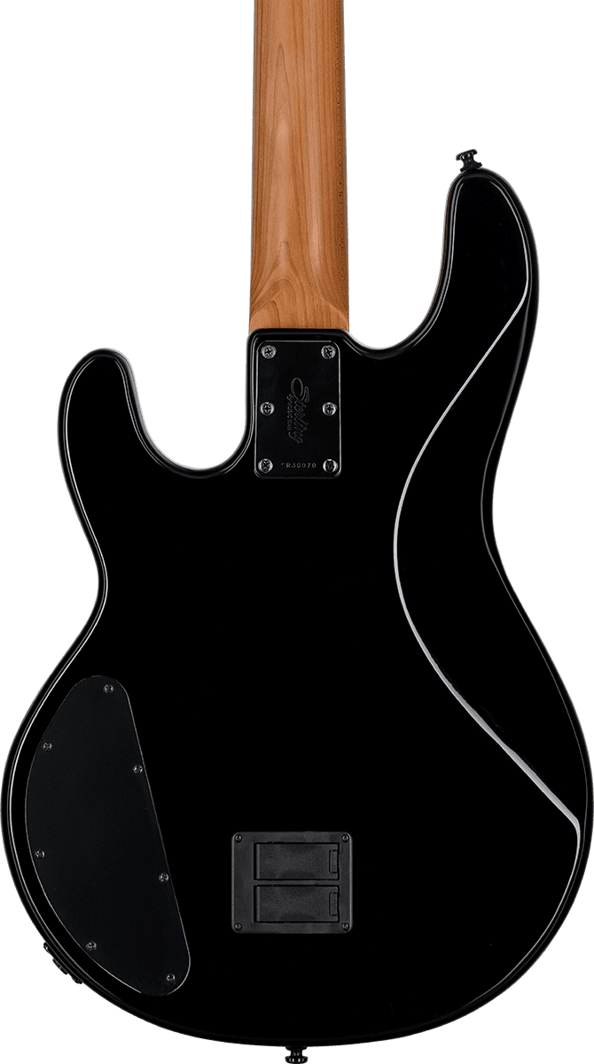 Dark Ray Stingray Met Darkglass-elektronica