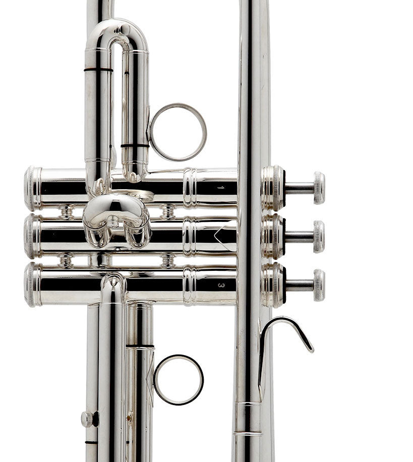 New Standard Bes Verzilverd - BE111-2-0