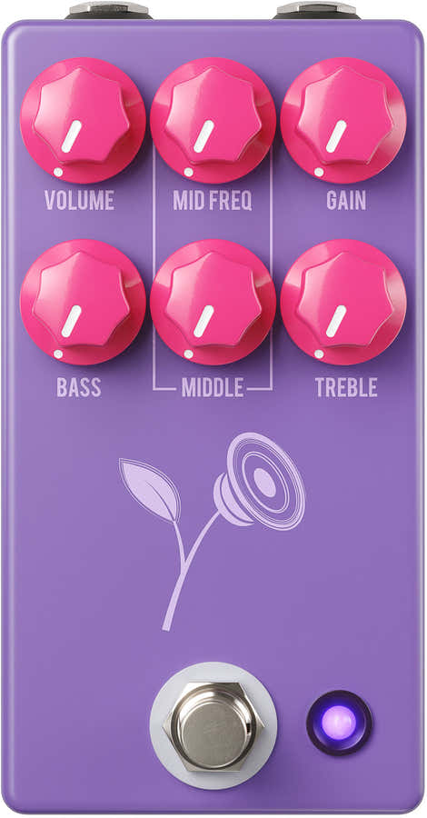 VIOLET DISTORSION LARI BASILIO - Paars
