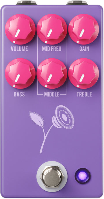 VIOLET DISTORSION LARI BASILIO - Paars