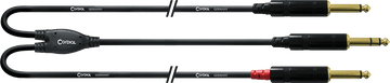Audiokabel Stereo-Jack - 2 lange Mono-Jacks 3 M