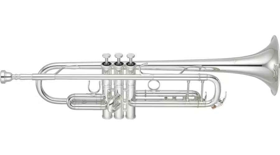 YTR8345GS Xeno Bes Verzilverde