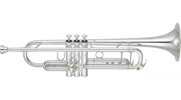 YTR8345GS Xeno Bes Verzilverde