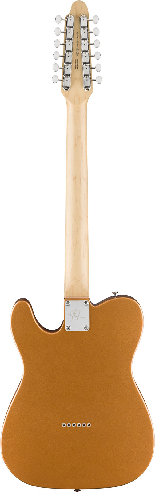Telecaster Paranormal Troy Van Leeuwen XII, LRL Koper