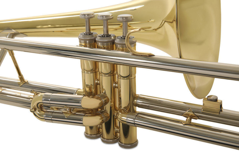 Ambition VT501 Tenor Bes gelakt