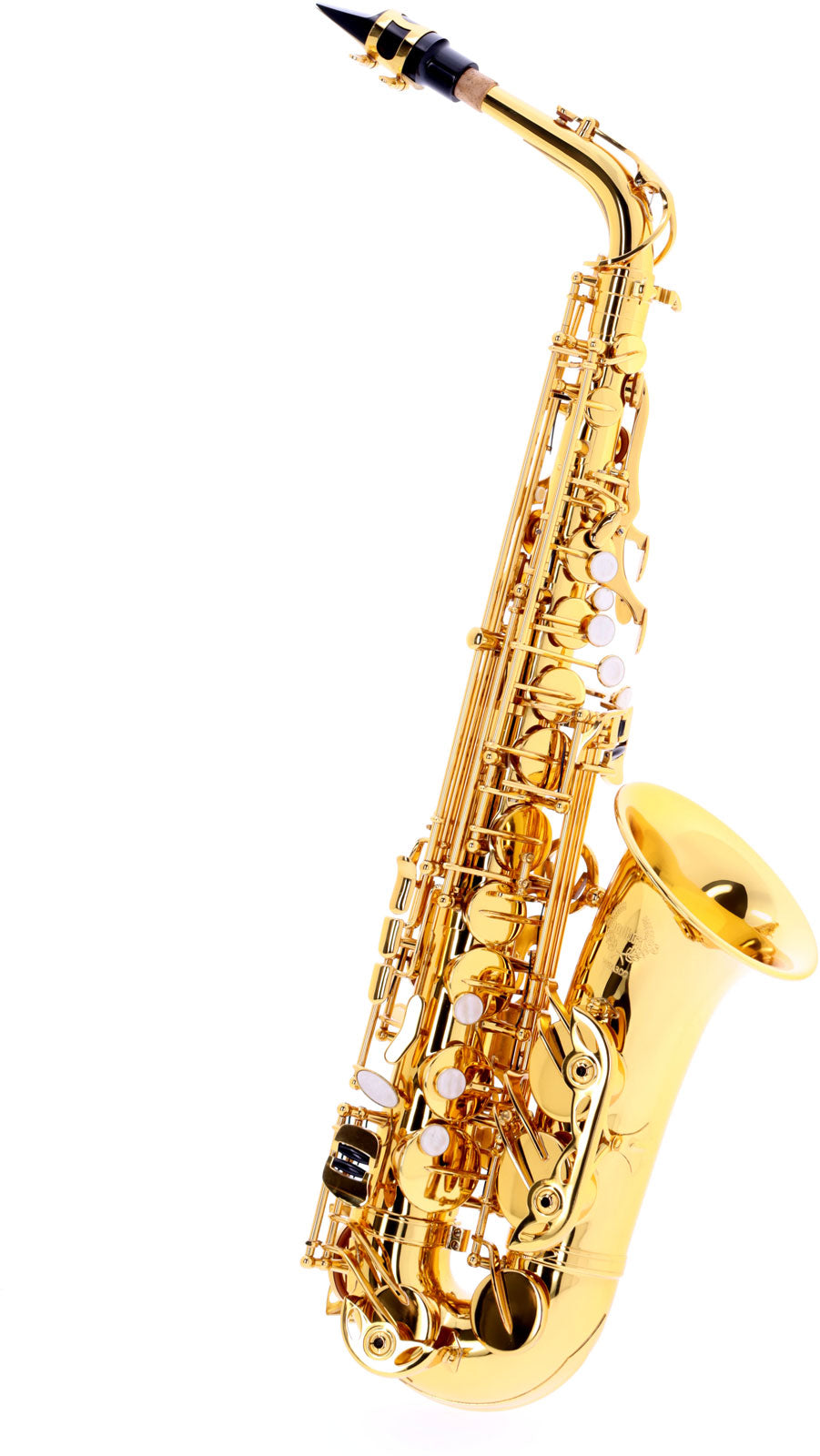WSA300 - Alt Mi B Verni