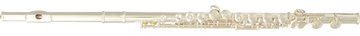 FL400E - (gesloten kleppen - verschoven G)
