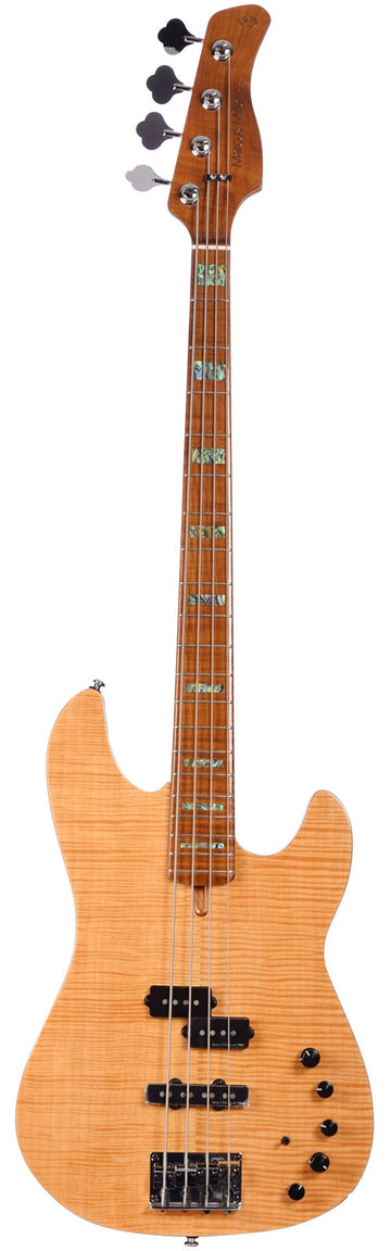 P10 Alder-4 Nt En