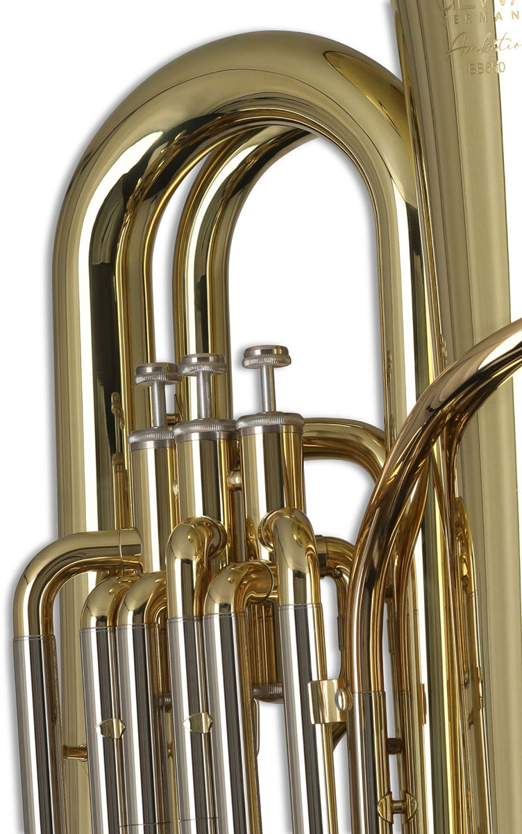 Ambition BB650 Contrabas Bes Gelakt