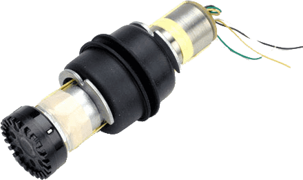 RPM 106 Capsule