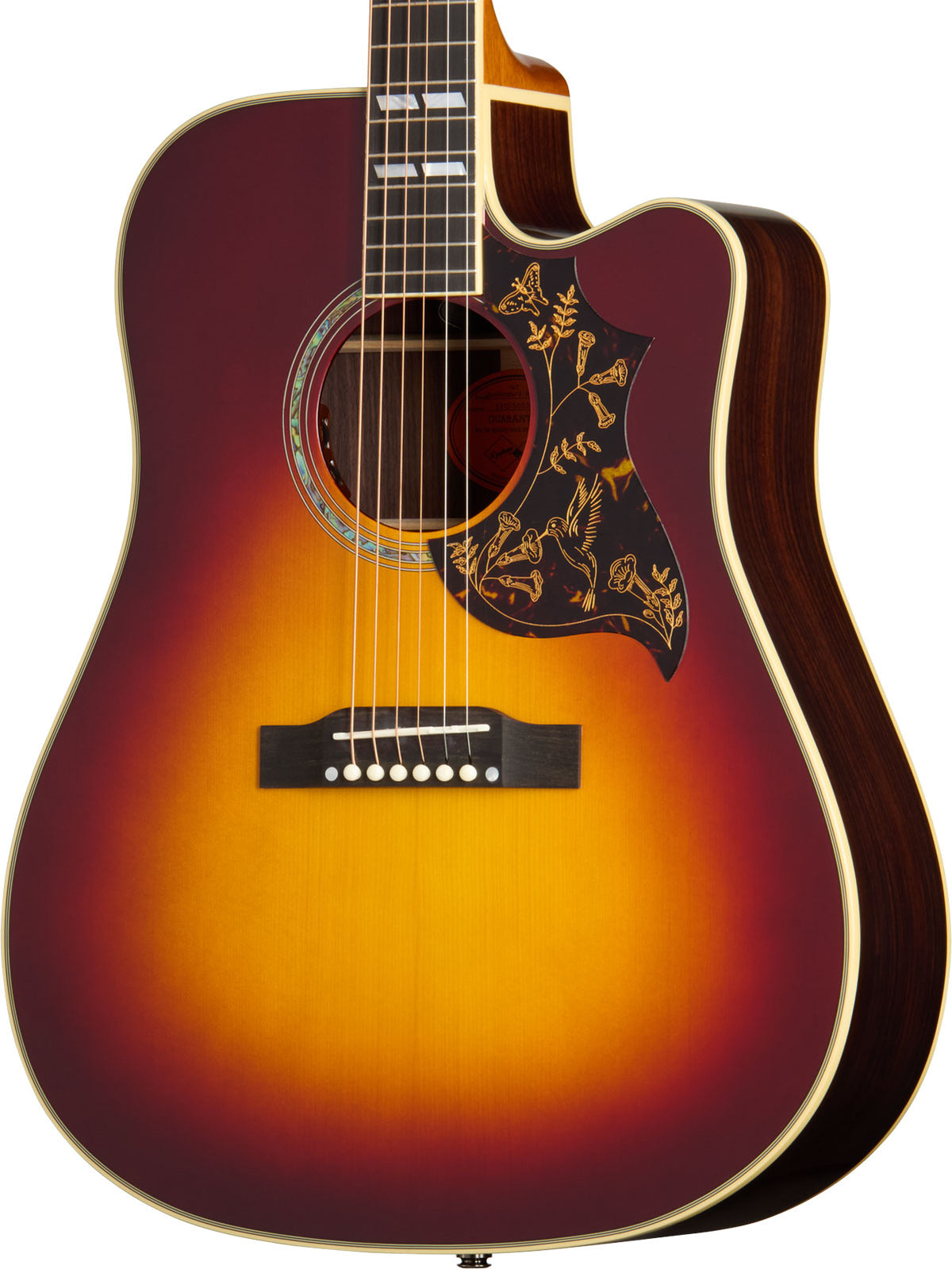 Hummingbird Deluxe EC Autumn Burst IBGCS