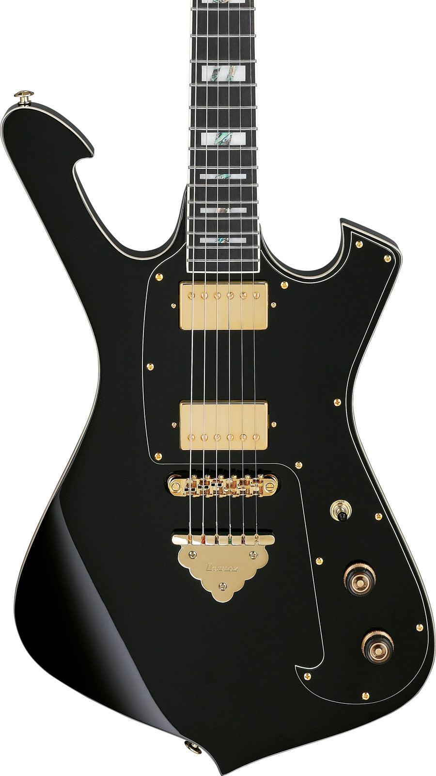 FRM350 Signature Paul Gilbert Zwart