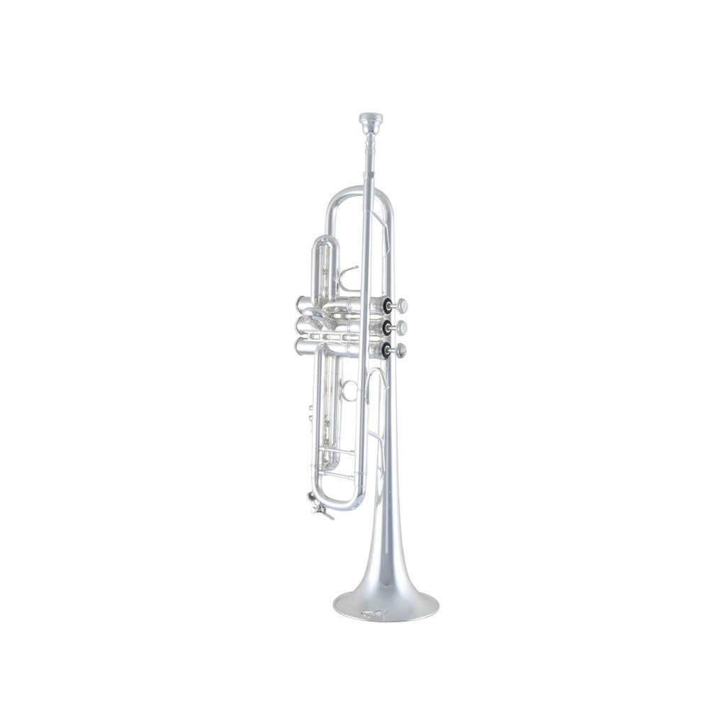 180S-37 Stradivarius - Bes Verzilverd
