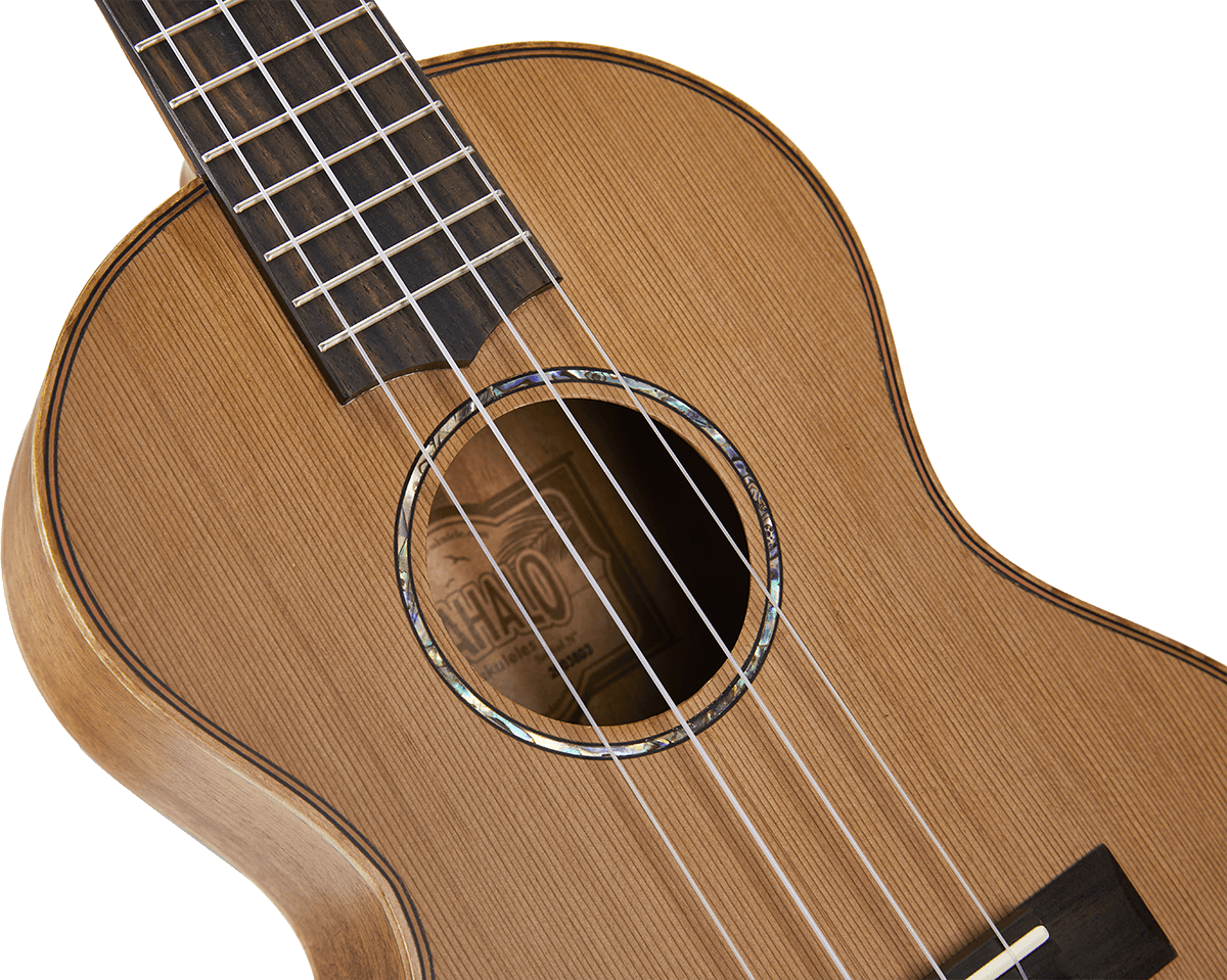 Natuurlijke Elektrische Tenor + Hoes