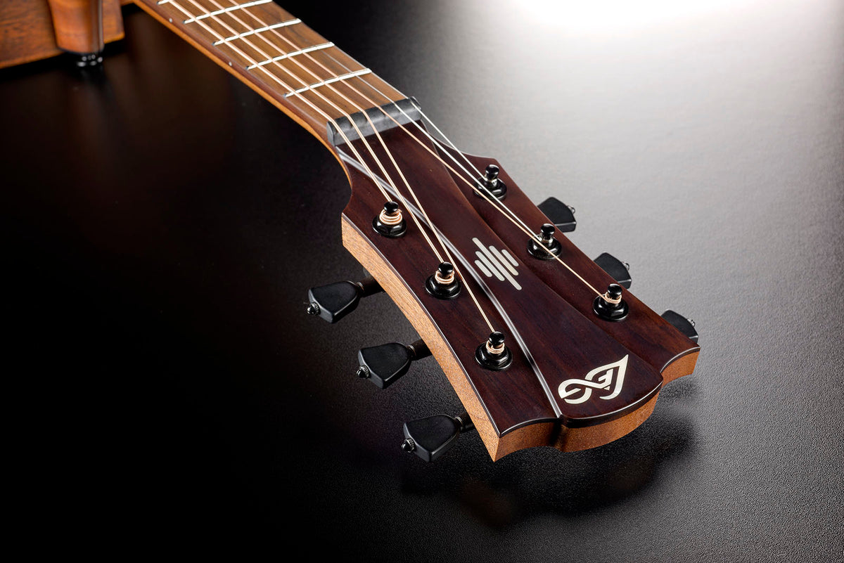 HyVibe 2 Serie 10 Dreadnought Linkshandig CW