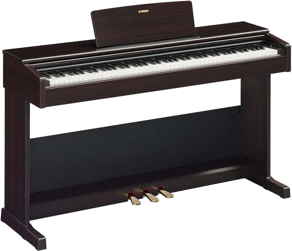 Arius YDP-105 Palisander