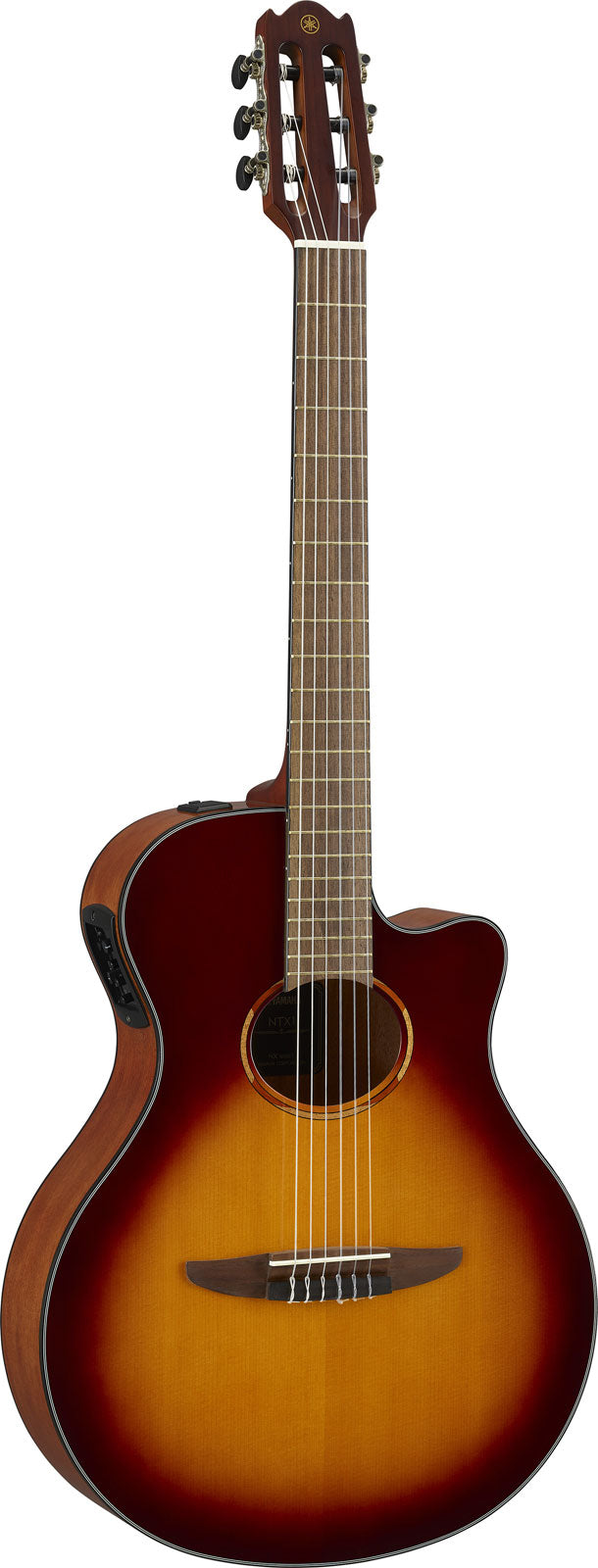Ntx1 Bruin Sunburst