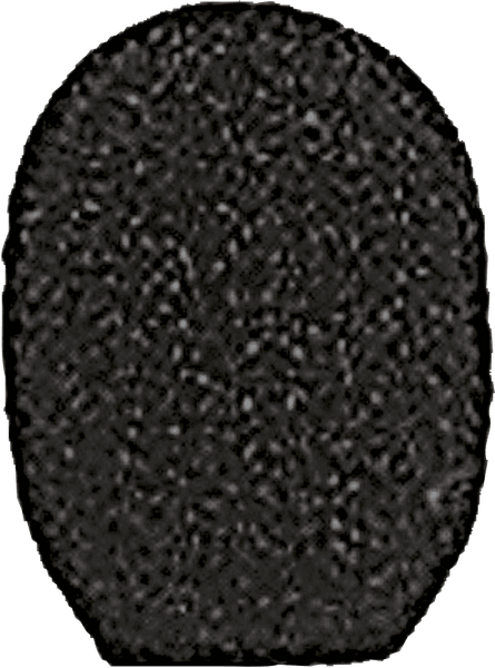RPM304