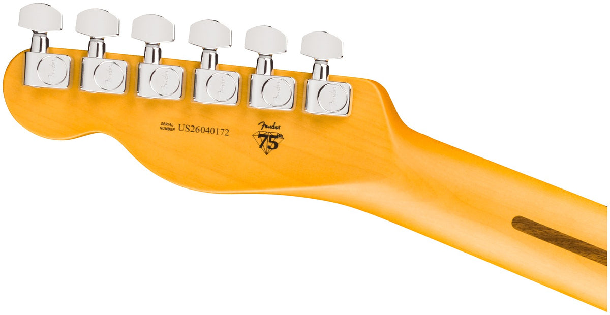 Telecaster American Professional, MN Naturel