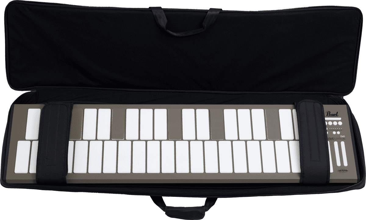 BAG FOR EM1 STATION CASE