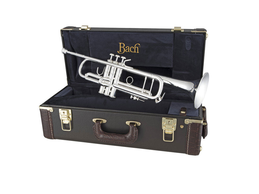 180S-37 Stradivarius - Bes Verzilverd