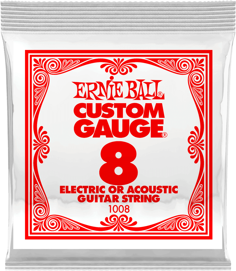 Ernie Ball P01008 CORDE DETAIL 008