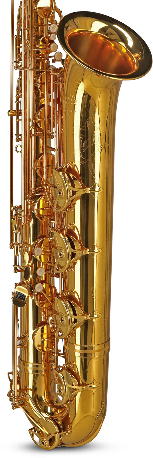 Ambition BS650 Es Gelakt