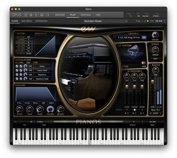 Bechstein D-280 Platinum