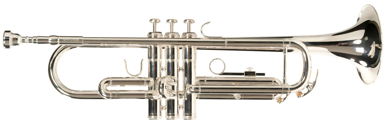 WTP4S - Bes Zilverkleurig - B-STOCK