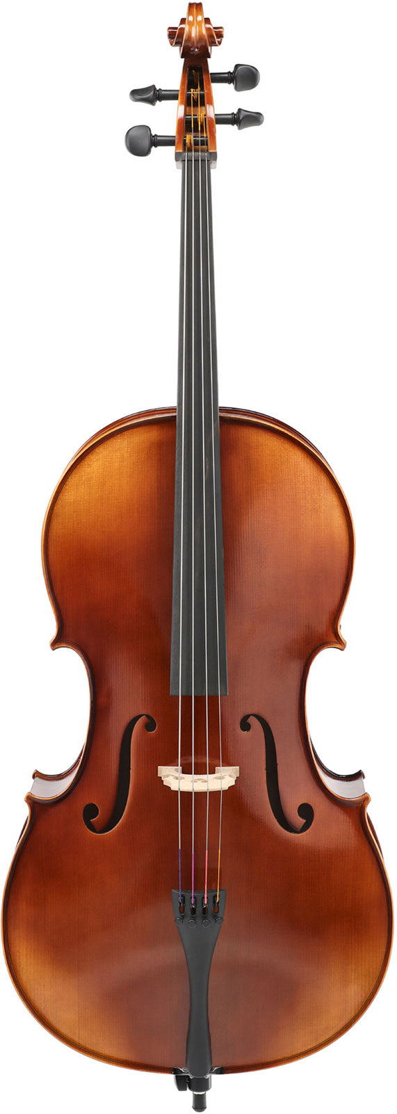 ANNIVERSARY CELLO 4/4 SET UP