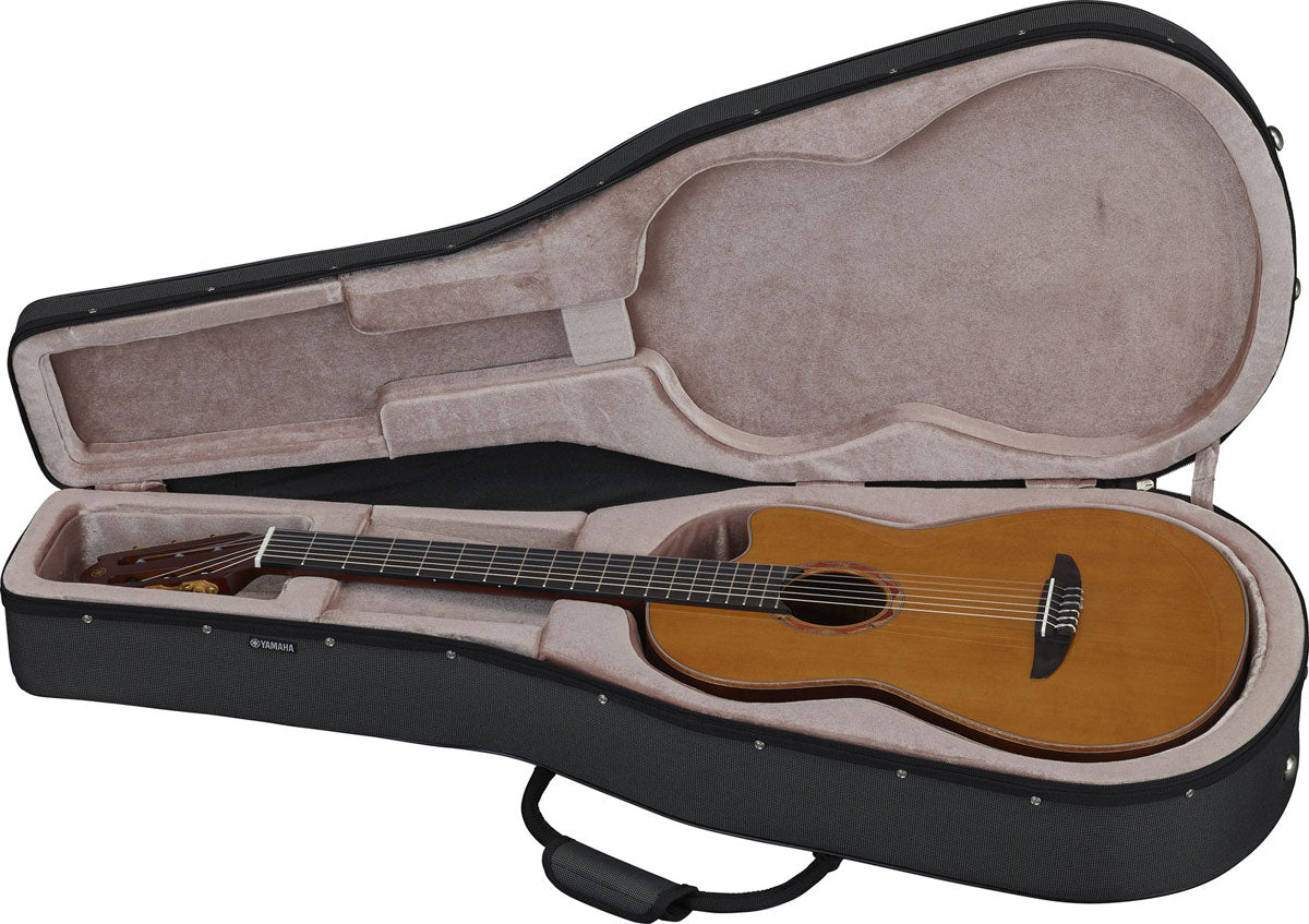 Ntx3 Bruin Sunburst