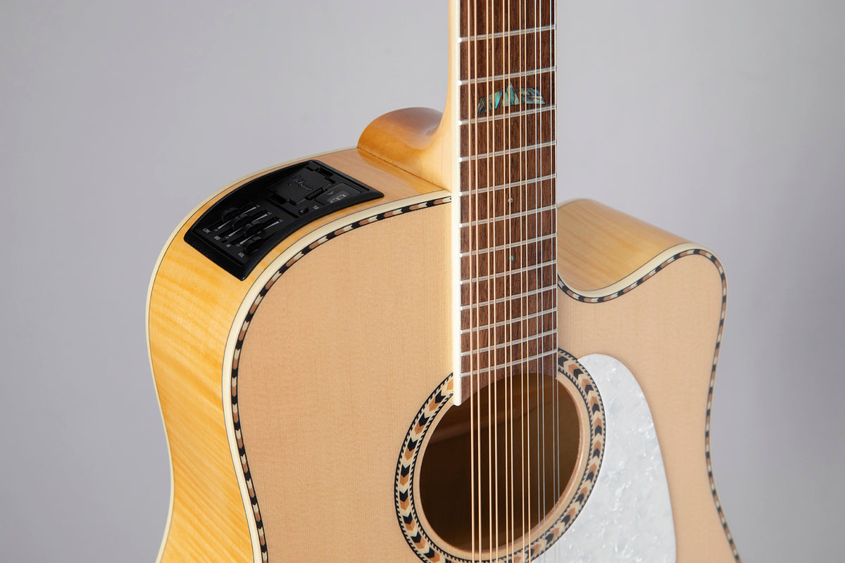 GD74CE-12 Dreadnought Snaren Naturel