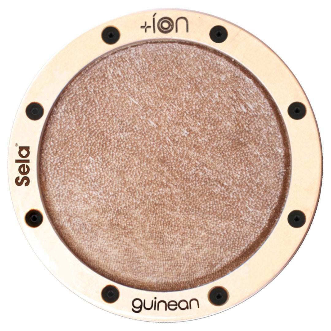 Ion for Iconic Cajon - Guinees