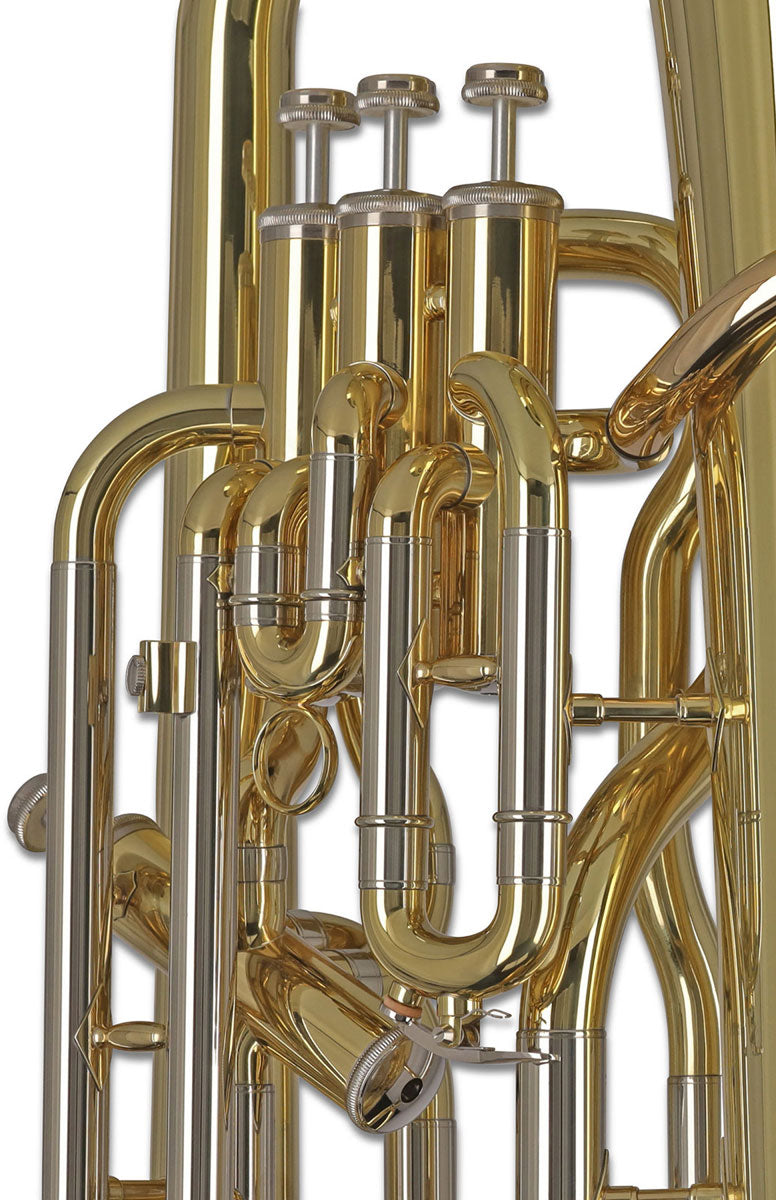 Ambition EP655 Silver Lacquered