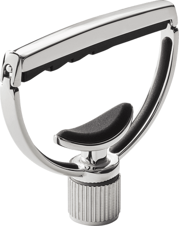 Heritage Gitaar Style 1 12-snarig Zilver