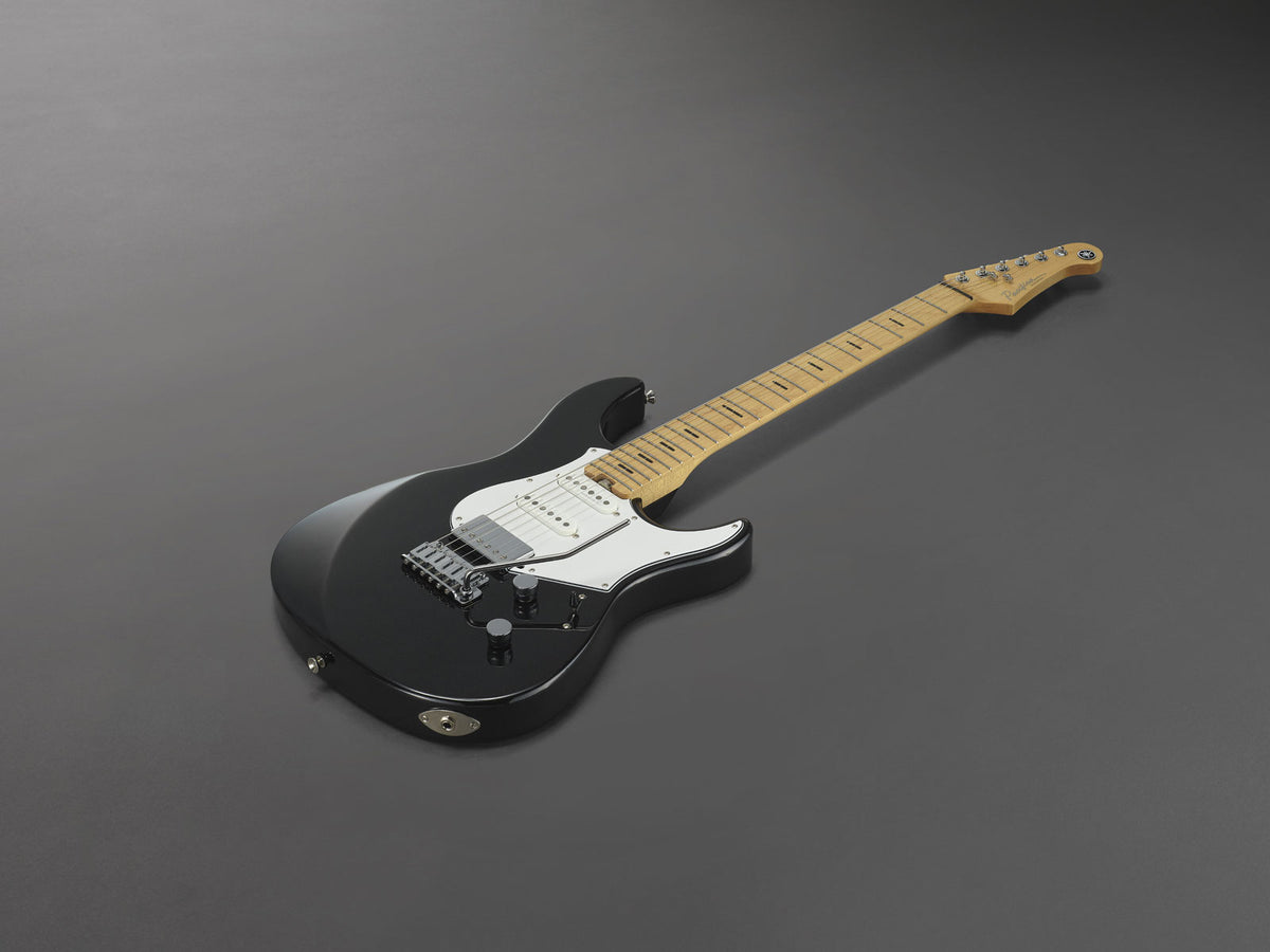 Pacifica Professional Pacp12M-Bm Mn Metallic zwart