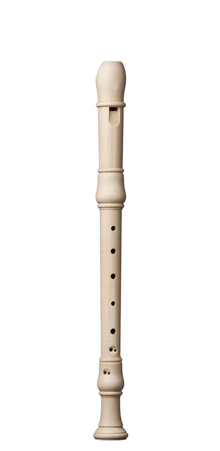 STUDIO ALTO MAPLE1402