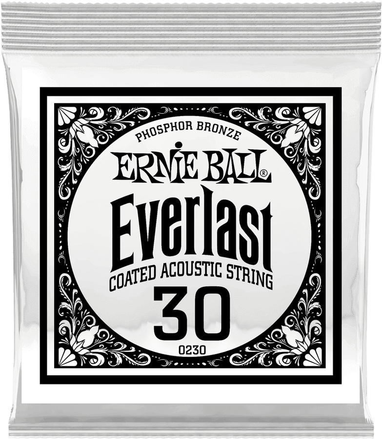 .030 EVERLAST COATED PHOSPHOR BRONZE ACOUSTIC GUITAR STRINGS