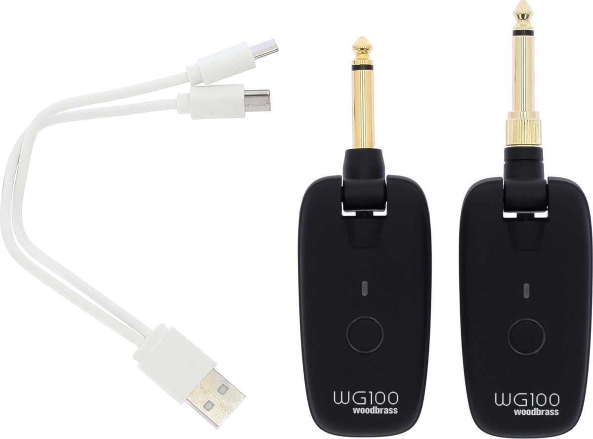 WG100 Draadloos Systeem Gitaar & Bas