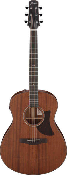 Ibanez AAM740E-LG Naturel Advanced Acoustic Platinum