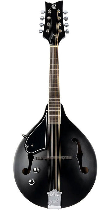 Left-Handed Mandolin